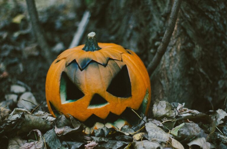 pumpkin pumpkin jack halloween plant calabaza winter squash 1666380 pxhere.com
